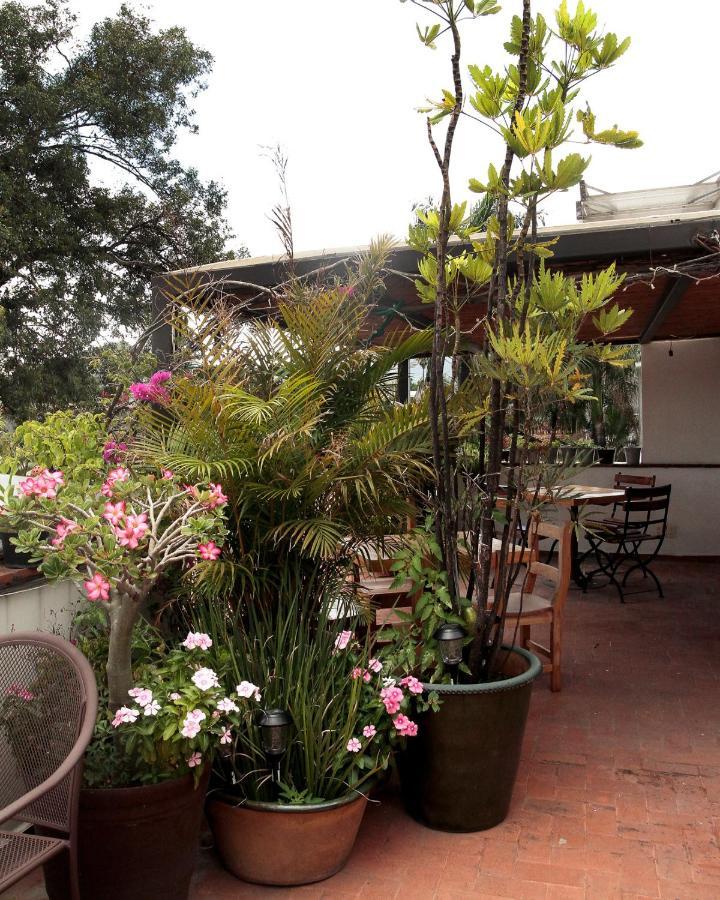 La Cochinilla Hotel Boutique Oaxaca Exterior photo